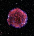 The Tycho supernova remnant is the result of a Type Ia supernova explosion. The explosion was observed by Danish astronomer Tycho Brahe in 1572. More than 400 years later, the ejecta from that explosion has expanded to fill a bubble 55 light-years across. In this image, low-energy X-rays (red) show expanding debris from the supernova explosion and high energy X-rays (blue) show the blast wave - a shell of extremely energetic electrons.
