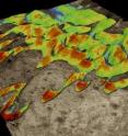 This is a perspective view of Nili Patera dune field: The HiRISE image has been draped over a digital elevation model of Mars. Colors correspond to the amplitude of the ripple's displacement extracted by image correlation between two HiRISE observations separated by 105 days. Cool colors (blue) correspond to less than 75 cm of displacement whereas warm colors (red) correspond to 4.5+ meters.