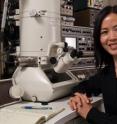 Haimei Zheng, a staff scientist in Berkeley Lab's Materials Sciences Division and DOE Early Career Research Program Awardee, led the observation of how attached nanoparticles evolve into nanorods.