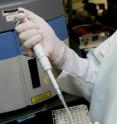 Immunoassays are commonly performed in a set of glass vials such as the one shown here. The nanomaterial invested at Princeton to increase the sensitivity of the test could be added as a microscopic layer to the glass.