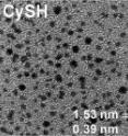 This shows images from transmission electron microscopy of Au nanoparticles stabilized by: n-hexanethiolate (–SC6), cyclohexanethiolate (–SCy), and 1-adamantanethiolate (–SAd).