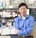 Ning Wang, a University of Illinois mechanical engineering professor, co-led a study showing that tumor-spreading cancer cells grow better in a soft substrate, much like stem cells.