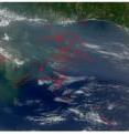 In a new study published in the journal Environmental Science & Technology, a team from the University of Miami, Colorado School of Mines and Naval Research Laboratory used numerical simulations to explain the crucial role of the wind-induced surface drift on the fate of the oil in the Gulf of Mexico. This drift was found to have a strong influence on the displacement of oil, accounting for the influence of winds on the top surface of ocean waters through the generation of waves and additional circulation. These particular wind effects are generally not represented in ocean circulation models and were missing from real time ocean circulation predictions during the Deepwater Horizon oil spill.  This figure shows a comparison between the satellite-observed (left) and the modeled (right) oil slick extent on June 7, 2010.