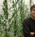 University of Saskatchewan adjunct professor of biology Jon Page led the research team that discovered the chemical pathway<i> Cannabis sativa</i> uses to create bioactive compounds called cannabinoids.