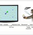 In the classic center-out reaching task, a monkey reaches from a central location to targets on a circle surrounding the starting position. This task does not allow the neural encoding for hand position to be separated from the neural encoding for hand velocity. If the starting position varies, however, as in the task shown here, hand position and initial hand velocity can be disambiguated.