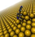 This is a model structure illustrating the bonding of bipyridine to the rough gold surface through direct nitrogen-gold chemical bonding and indirect van der Waals bonding.