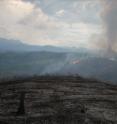 This photo shows burning of the rainforest in the Atlantic National Park of Brazil.