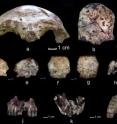 The researchers found skull fragments that date to 63,000 years ago.