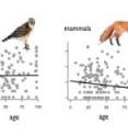 The relationships between age and species richness in major groups reveals that in almost every major group, age and diversity are not strongly correlated, life scientists report.