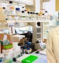 Farzin Haque, research assistant professor in the UK College of Pharmacy, Department of Pharmaceutical Sciences, is first author on the study.