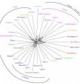 This is a network representation showing how language families cluster based on their stability profiles.
