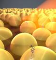 Scientists at Imperial College London have developed a system to quickly detect trace amounts of chemicals like pollutants, explosives or illegal drugs.

The new system can pick out a single target molecule from 10,000 trillion water molecules within milliseconds, by trapping it on a self-assembling single layer of gold nanoparticles (graphic pictured).