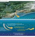 The graphic, "Mercury in the Open Ocean: Sources to Seafood" is reproduced from  Sources to Seafood: Mercury Pollution in the Marine Environment by the Coastal and Marine Mercury Ecosystem Research Collaborative, December 2012.