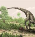 Artist rendering of <i>Nyasasaurus parringtoni</i>, either the earliest dinosaur or the closest dinosaur relative yet discovered. <i>Nyasasaurus parringtoni</i> was up to 10 feet long, weighed perhaps 135 pounds and is depicted near plant-eating reptiles of the genus <i>Stenaulorhynchus</i>.