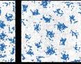 The entorhinal cortex is a part of the neocortex that represents space by way of brain cells that have GPS-like properties. Each cell describes the environment as a hexagonal grid mesh, earning them the name 'grid cells'. The panels show a bird's-eye view of a rat's recorded movements (grey trace) in a 2.2x2.2 m box. Each panel shows the activity of one grid cell (blue dots) with a particular map resolution as the animal moved through the environment.