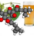 The configuration of a humulone molecule is superimposed on a hops vine and a glass of beer.