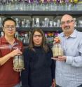 (From left) JBEI’s Jian Shi, Seema Singh and Blake Simmons successfully used an ionic liquid to pre-treat mixed blends of  biofuel feedstocks, a key to future commercialization.