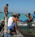 WCS researchers for the Wildlife Conservation Society have found that co-management plans and incentives in Indonesia's Karimunjawa National Park help improve the livelihoods of communities and achieve conservation objectives. For instance, economic incentives to local fishers through assistance with fish mariculture techniques and equipment has helped improve acceptance of conservation strategies in the park.