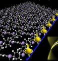 University of Utah engineers demonstrated it is feasible to build the first organic materials that conduct electricity on their molecular edges, but act as an insulator inside. Called organic topological insulators, these materials are made from a thin molecular sheet (left) that resembles chicken wire and conducts electricity on its right edge (blue line) -- with the electrons carrying more information in the form of "up" spin. These new materials could be used to shuttle information at the speed of light in quantum computers due to the unique physical behavior a special class of electrons called Dirac fermions, depicted (right) in a plot of their energy and momentum.