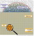 A tiny defect, called a nitrogen vacancy (NV), inside a diamond enabled researchers to detect the magnetic resonance of organic molecules in the same way an MRI produces images of a tissue or an organ.