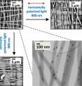 Polarized light selectively heats and melts nanofibers containing aligned gold nanorods within a cross-hatched mat when the polarization direction is parallel to the nanofiber direction.