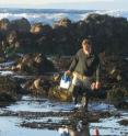 This is Jeff Goddard, UCSB marine scientist at Asiomar State Beach in Pacific Grove, CA.