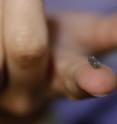 This implant measures about 14mm and comprises five sensors, a coil for wireless power as well a miniaturized electronics for radio communication.