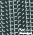 This is a scanning electron microscopy image of a metasurface comprised of V-shaped antennas with a variety of arm configuations.