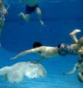 Student team members from the Virginia Tech's National Science Foundation Center for Energy Harvesting Materials and Systems test a five-foot wide jellyfish-like robot under water at War Memorial Hall.