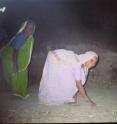 Camera traps set up at night in a densely populated region of India virtually devoid of wilderness revealed leopards, striped hyenas, jackals -- and lots of people.
