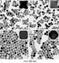 Transmission electron microscope (TEM) images show four distinctive types of nanocrystals that were obtained at different reaction temperatures during Georgia Tech experiments to study the effects of surface diffusion.