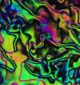 A liquid crystal sample like this one, seen under a microscope, gets tougher when repeatedly compressed, according to research at Rice University.