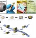 This shows: Top: In vivo flexible large scale integrated circuits (LSI); Bottom: Schematic of roll-to-roll printing of flexible LSI on large area plastics.