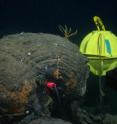 A seismometer was inserted into a hole drilled in seafloor lava. Eight of these instruments were installed at an ocean spreading-center volcano 150 miles off Vancouver Island. A data recording device is enclosed in the yellow sphere. In three years of operation the network detected nearly 40,000 small earthquakes, and hundreds of thousands of fin-whale calls.