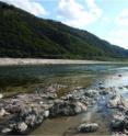 This image show one of the gorgeous habitats of the water mites, the Inje River, South Korea.