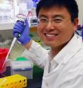 Hongkai Zhang, Ph.D., is a research associate in the Lerner laboratory at the Scripps Research Institute and first author of the study.