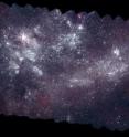 Nearly a million ultraviolet sources appear in this mosaic of the Large Magellanic Cloud, which was assembled from 2,200 images taken by Swift's Ultraviolet/Optical Telescope. The 160-megapixel image required a cumulative exposure of 5.4 days. The image includes light from 1,600 to 3,300 angstroms -- UV wavelengths largely blocked by Earth's atmosphere -- and has an angular resolution of 2.5 arcseconds at full size. The LMC is about 14,000 light-years across. Slide your cursor over the image to compare the galaxy's appearance in optical light with this ultraviolet portrait.