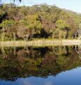 This is a panoramic photo of Blue Lake on North Stradbroke Island, Queensland, Australia. The lake has been relatively untouched by changes in climate for the past 7,000 years.