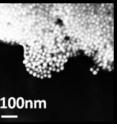 The addition of target viral DNA causes the nanoparticles to form aggregate "clumps," which leads to a change in their color.