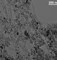 This is a high-resolution microscopic image of a new type of nanostructured-carbon-based catalyst developed at Los Alamos National Laboratory that could pave the way for reliable, economical next-generation batteries and alkaline fuel cells.