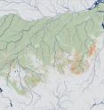Researchers for the first time mapped the extent and frequency of understory fires across a study area (green) spanning 1.2 million square miles (3 million square kilometers) in the southern Amazon forest. Fires were widespread across the forest frontier during the study period from 1999-2010. Recurrent fires, however, are concentrated in areas favored by the confluence of climate conditions suitable for burning and ignition sources from humans.