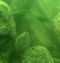 Basalt boulders that were found as part of a mysterious monument beneath the Sea of Galilee.