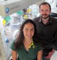 Doctoral student Leticia A. Montoya and Michael Pluth, professor of chemistry, of the University of Oregon have developed a sensitive probe that detects H2S in biological samples and in the environment.