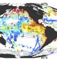 Research begun at Princeton University found that the numerous small sea animals that migrate from the surface to deeper water every day consume vast amounts of what little oxygen is available in the ocean's aptly named "oxygen minimum zone" daily.