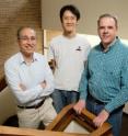 University of Illinois entomology senior scientist Manfredo Seufferheld, graduate student Chia-Ching Chu, Illinois Natural History Survey insect behaviorist Joseph Spencer and their colleagues found that gut microbes helped the western corn rootworm beetle survive in soybean fields long enough to lay its eggs.