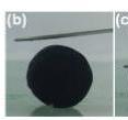 This is an image of the elastic behavior of a cylindrical monolith of the gel electrolyte based on 2 wt. % PVA-CN in 1 M LiPF6 in 1:2 (vol.) EC:EMC as the base liquid electrolyte.