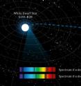 Researchers have studied a distant star where gravity is more than 30,000 times greater than on Earth to test the controversial theory that one of the constants of Nature -- the strength of the electromagnetic force, known as alpha -- is not a constant.