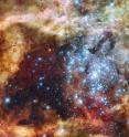 This is the Tarantula Nebula (30 Doradus) in the Large Magellanic Cloud, imaged by the Hubble Space Telescope. It is here that stars with masses of 200-300 times that of our Sun have recently been discovered. Source: NASA, ESA, F. Paresce (INAF-IASF, Bologna, Italy), R. O'Connell (University of Virginia, Charlottesville), and the Wide Field Camera 3 Science Oversight Committee.