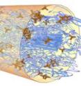 Fluorescent tetrapod quantum dots or tQDs (brown) serve as stress probes that allow precise measurement of polymer fiber tensile strength with minimal impact on mechanical properties. Inserts show relaxed tQDs (upper) and stressed tQDs (lower).