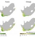 For wheat, the mechanistic model (top row) projected greater wheat yields, while the empirical model (bottom row) suggested that wheat-growing areas would expand by almost 50 percent.